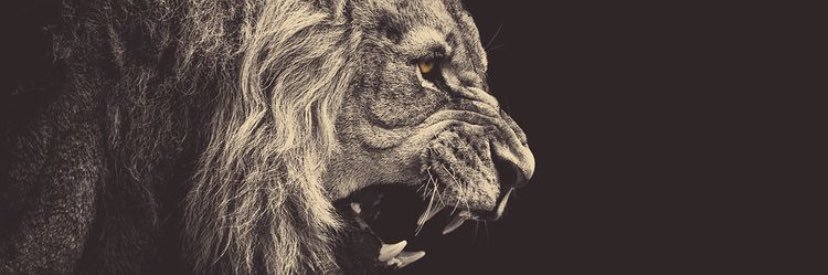 Dispiei00's profile banner image