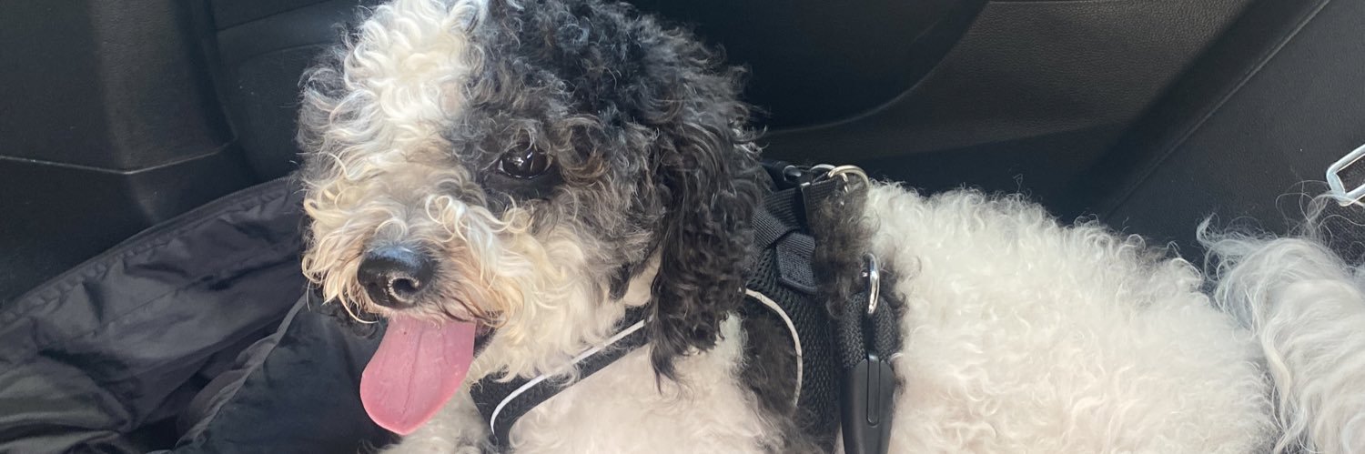 nicki nacky noo noo banner