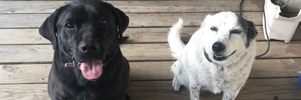 DocLG Profile Banner