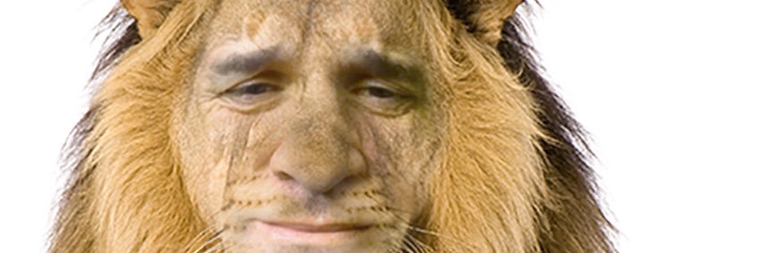 Piphondog's profile banner image