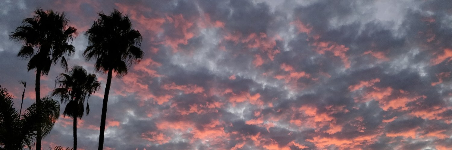 Mary_Linam's profile banner image