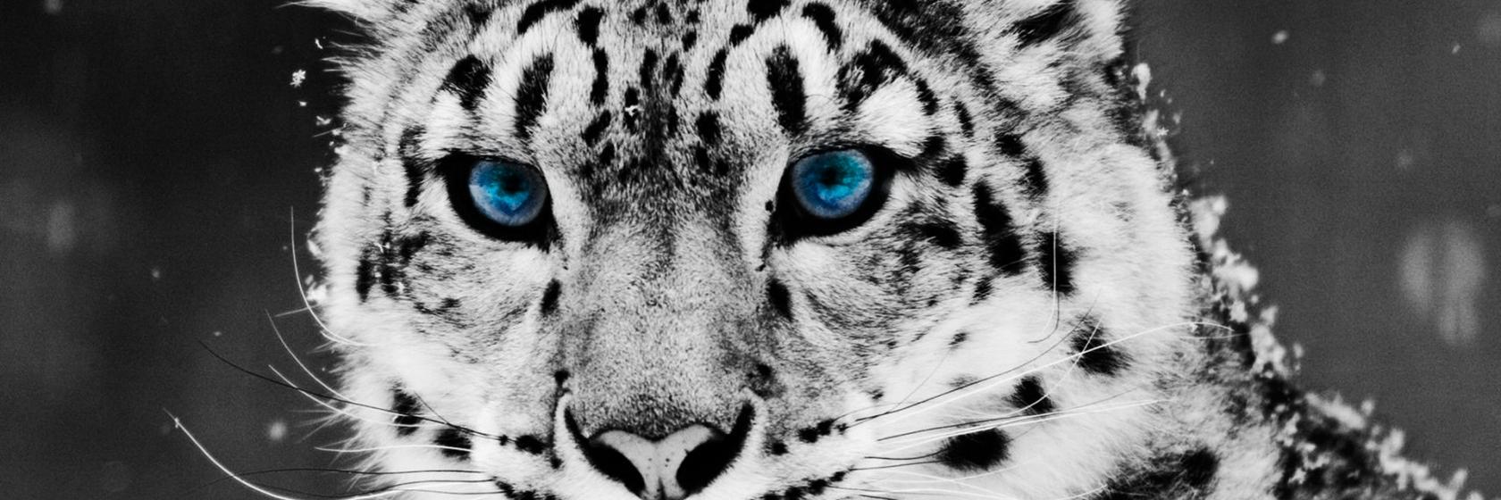 carlamguaman's profile banner image