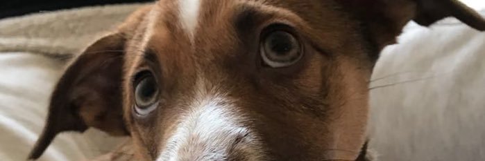 mares_mariel's profile banner image