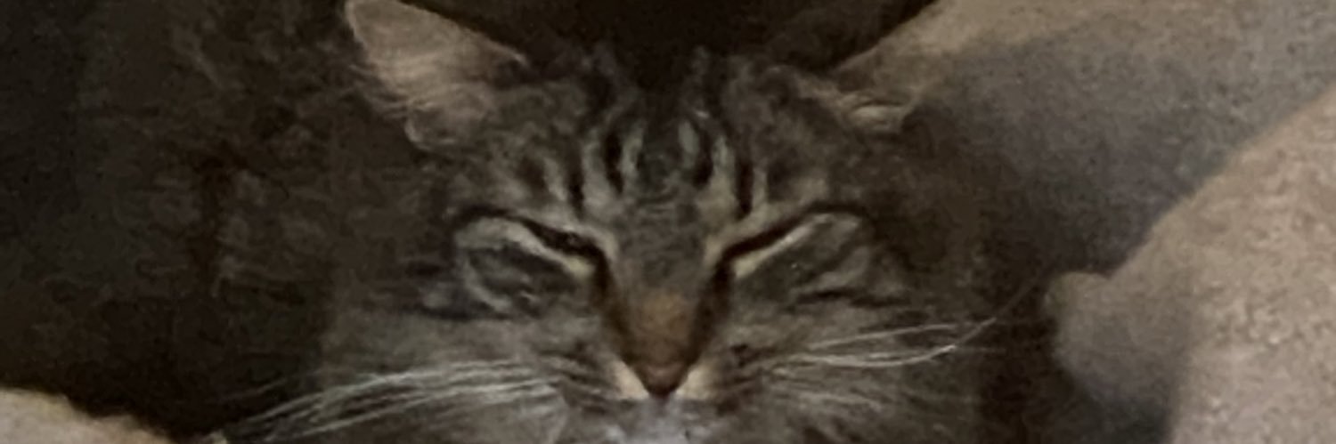 Themeerkatguy's profile banner image