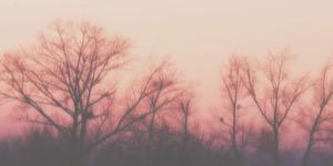 diabeticpal's profile banner image