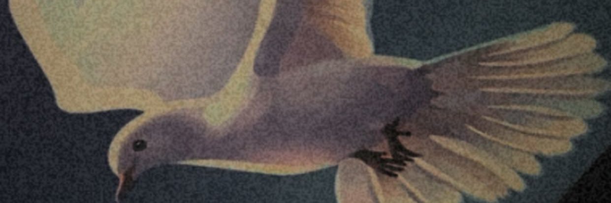 Gozi's banner