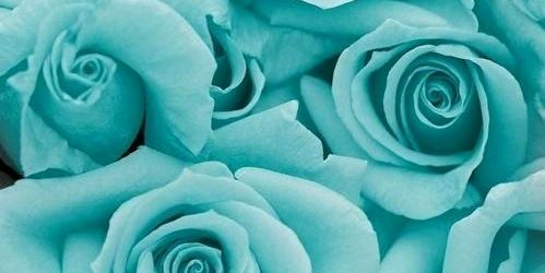 juliymon's profile banner image