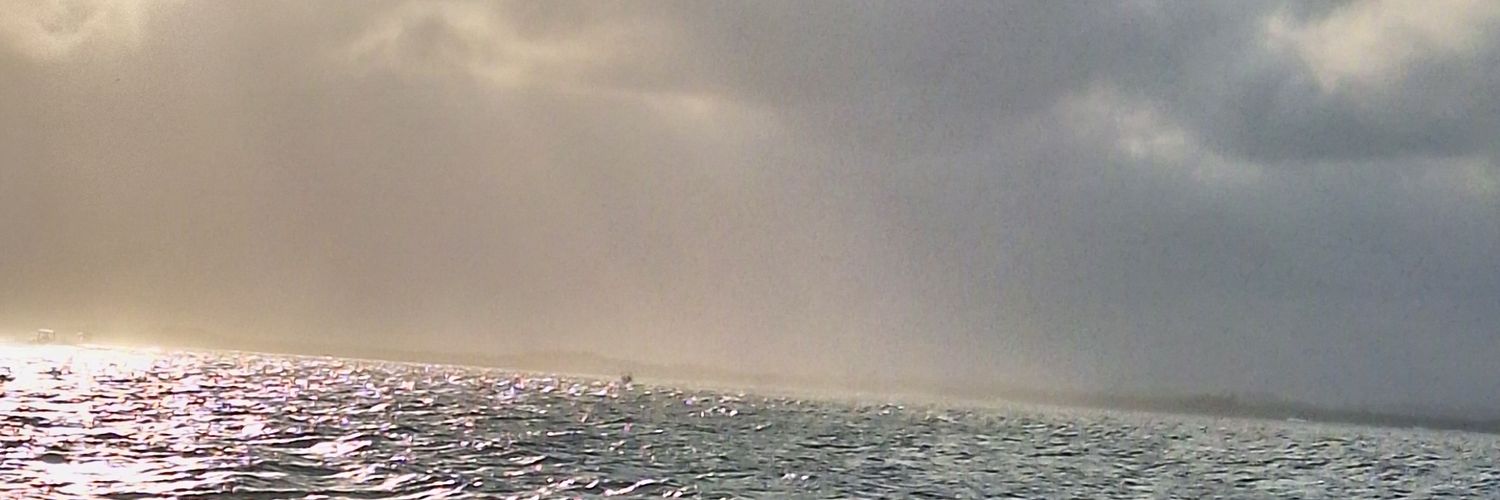 AparicioU's profile banner image