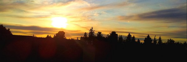 sidyoizee Profile Banner