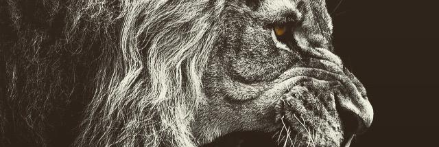 Cryptokdavid's profile banner image