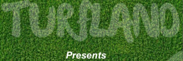 𝙏𝙐𝙍𝙁 banner