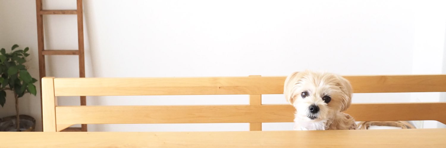 erierissa's profile banner image