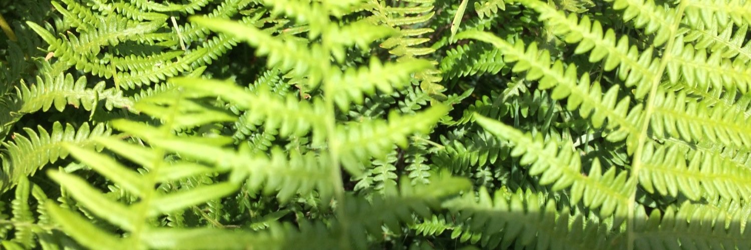 inesdetrespui's profile banner image