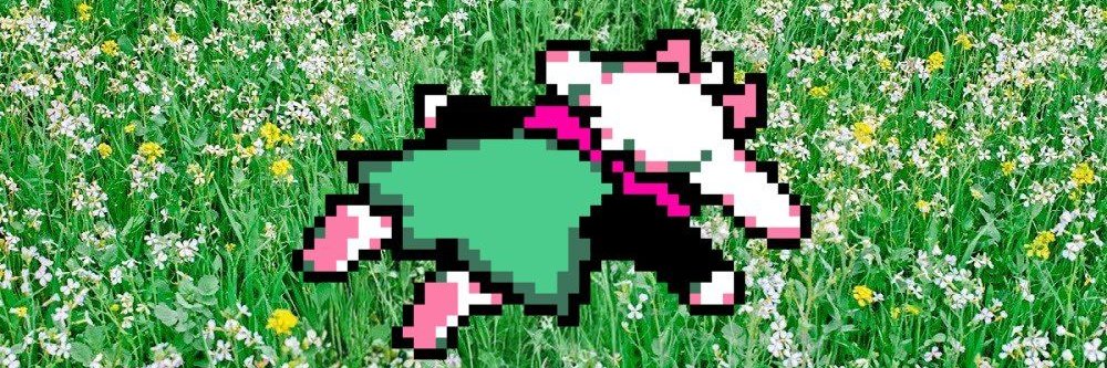 BackPatatas's profile banner image
