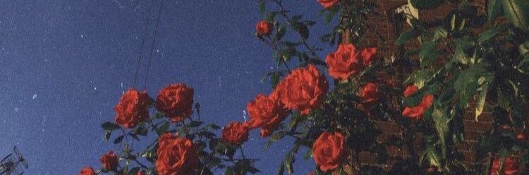 Buriane07's profile banner image