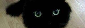 MaryCayer's profile banner image