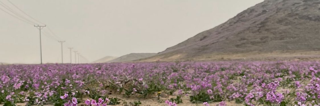 is6rr's profile banner image