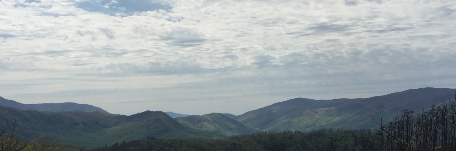 DrewTapp1's profile banner image