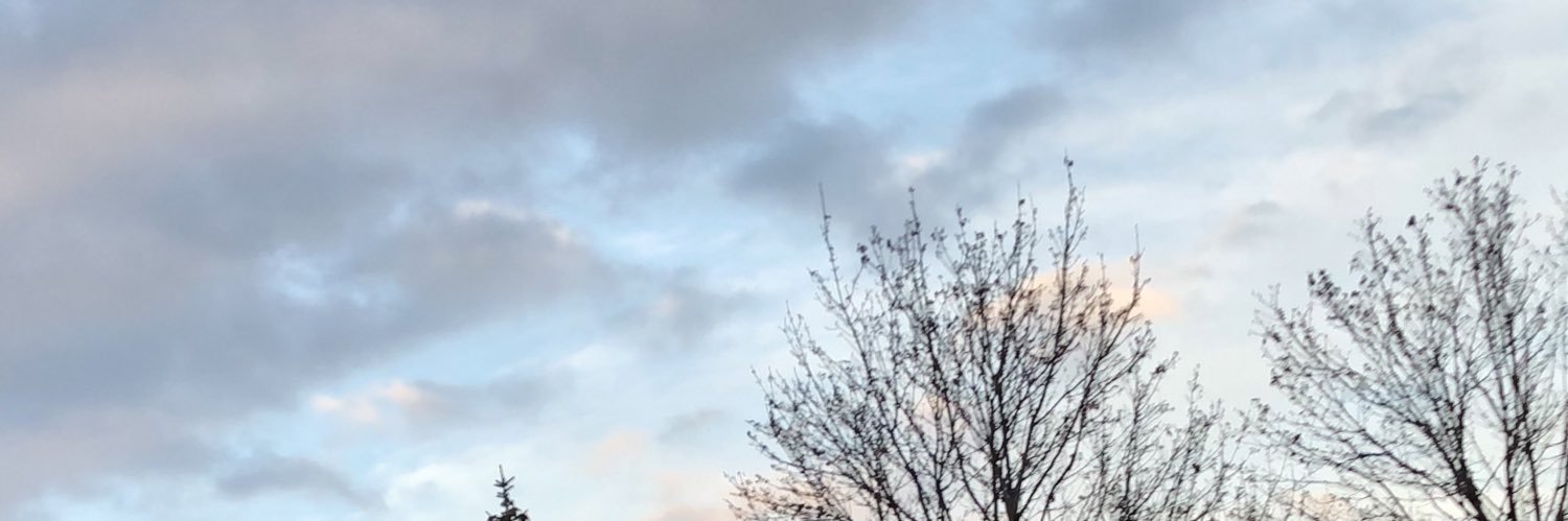 a_shin__'s profile banner image