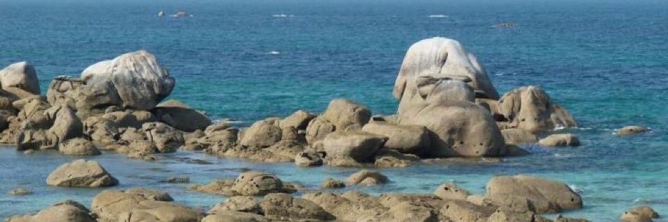 Mickaël Goavec banner