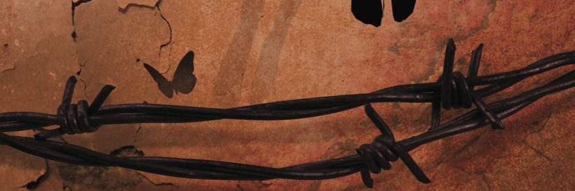 wingstheplay's profile banner image