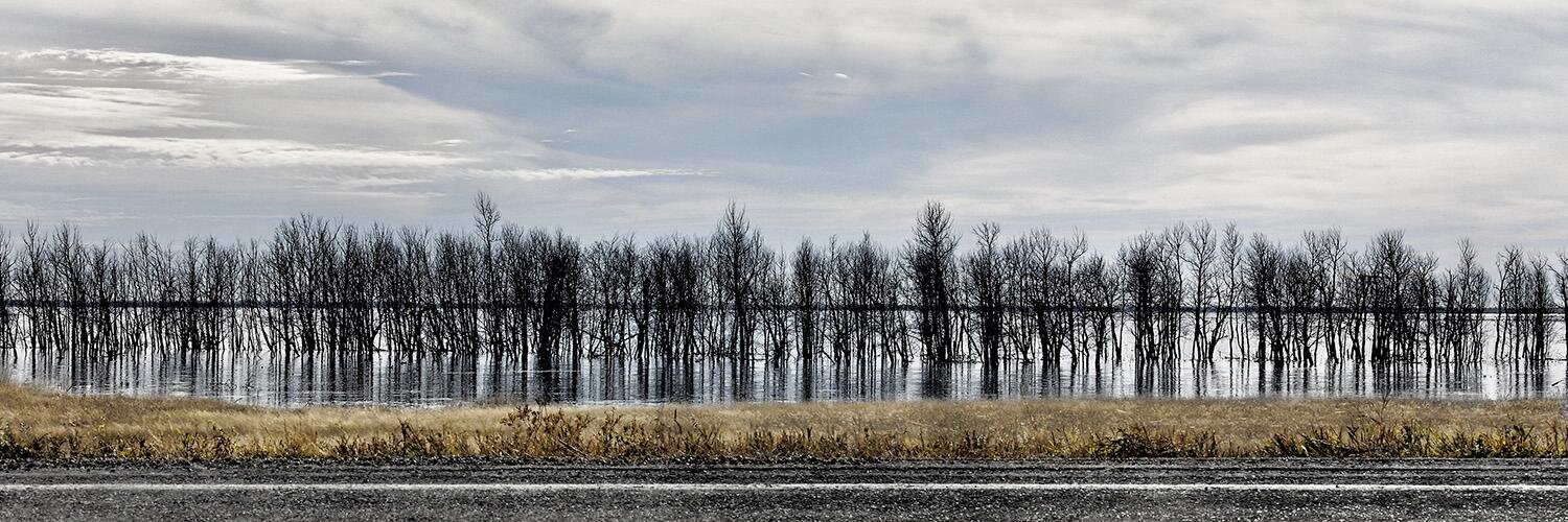 Mark Schacter banner