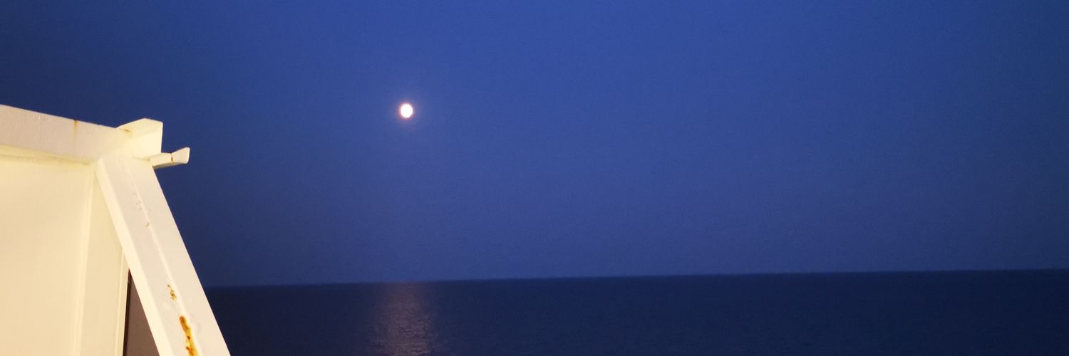 Anna Roy banner