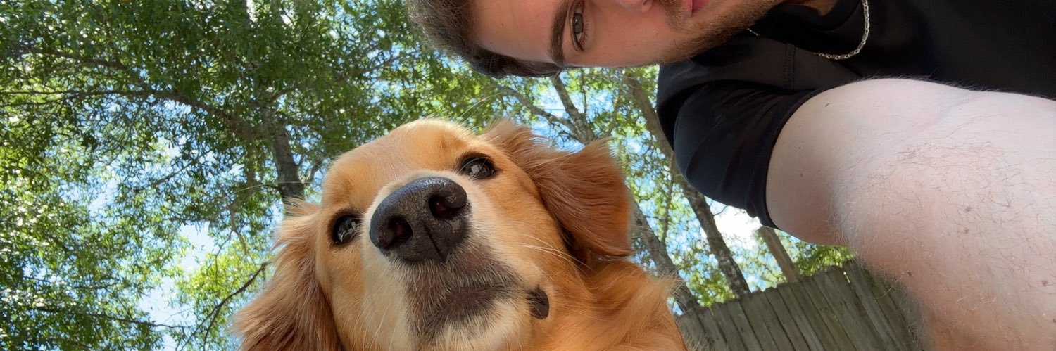 hellavevo's profile banner image
