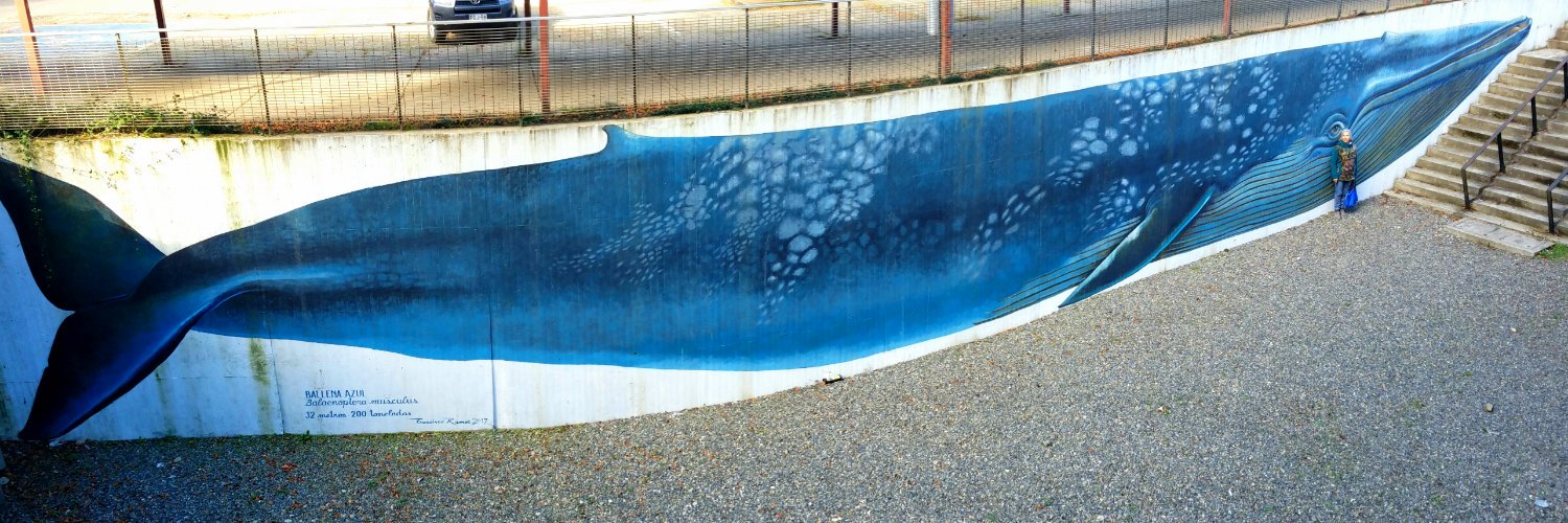 Paz Durán, PhD banner