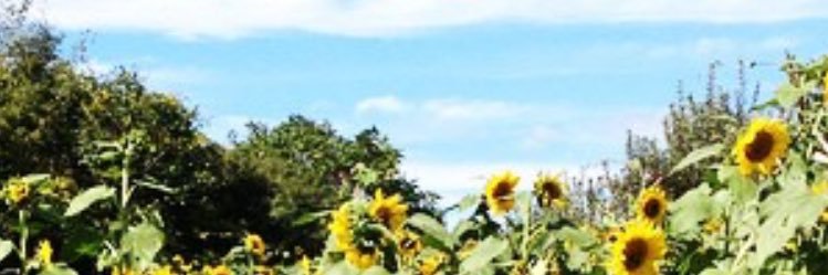 melanie_thomp's profile banner image