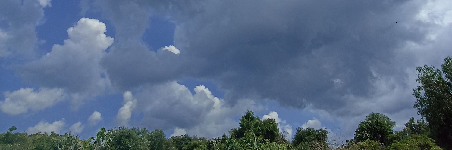 DiegoMining's profile banner image