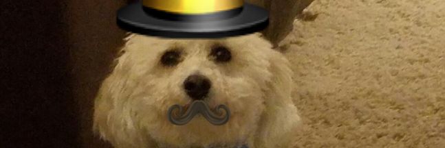 r_b_briggs's profile banner image