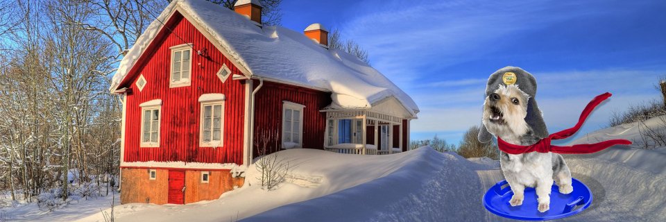 RangerWordsmith's profile banner image