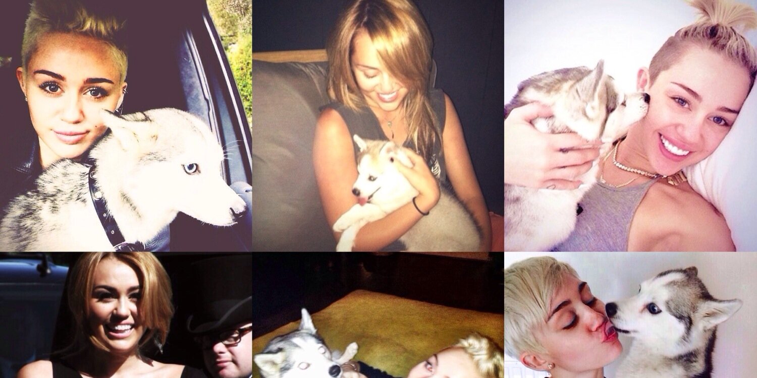 RadiateeMiley's profile banner image