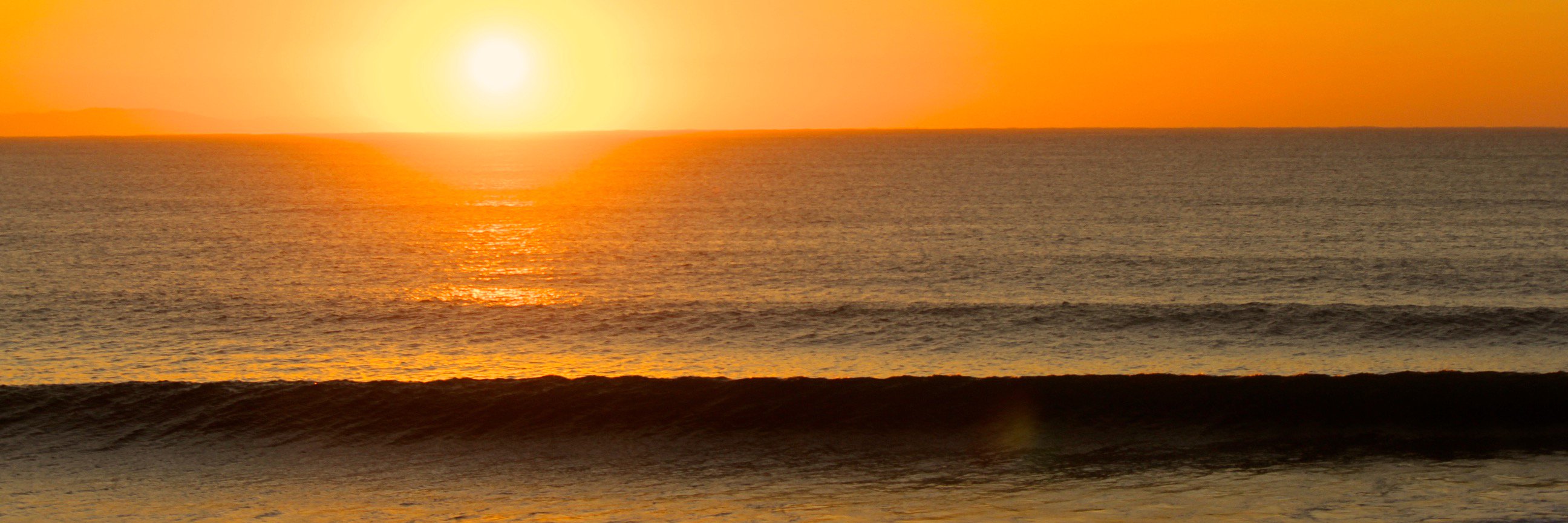 kalesbroccoli's profile banner image