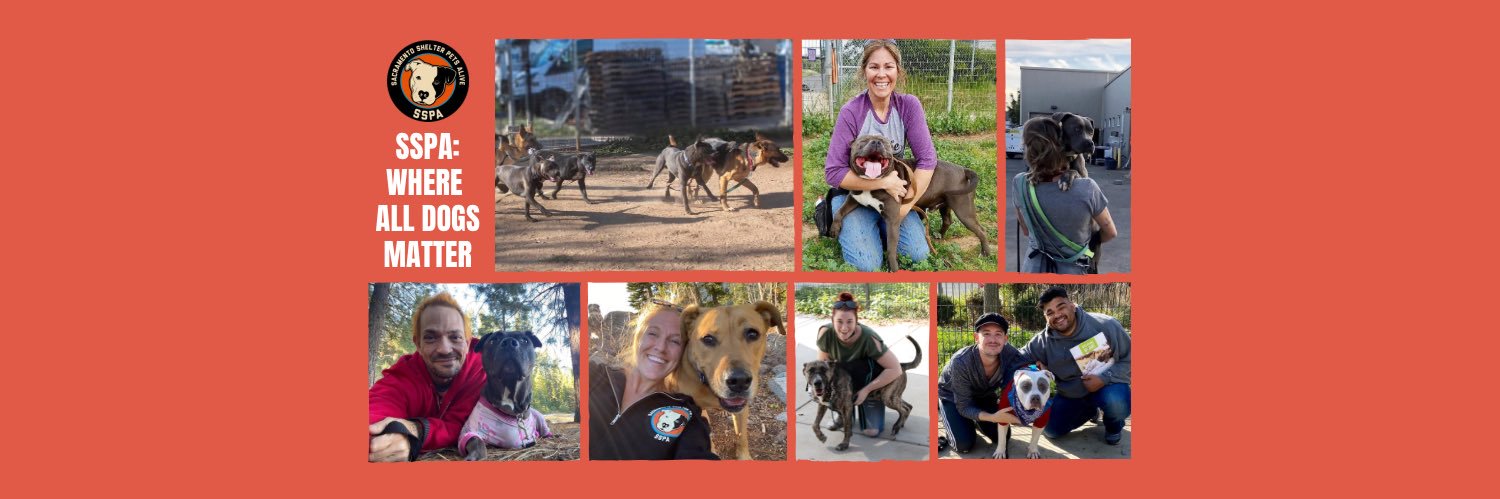 SSPetsAlive's profile banner image