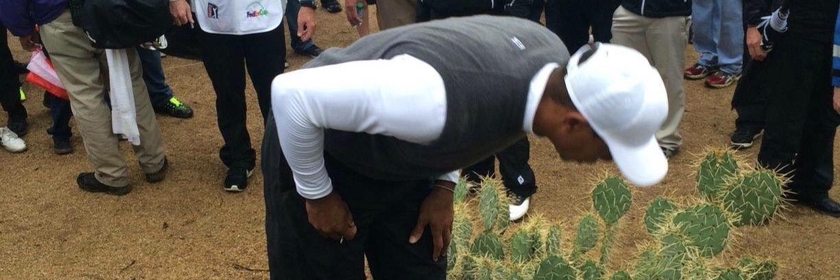 baddassalert's profile banner image