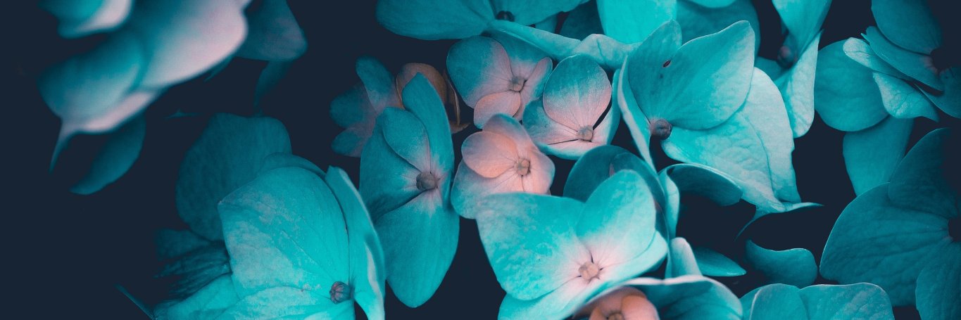 MelodyRGreen's profile banner image
