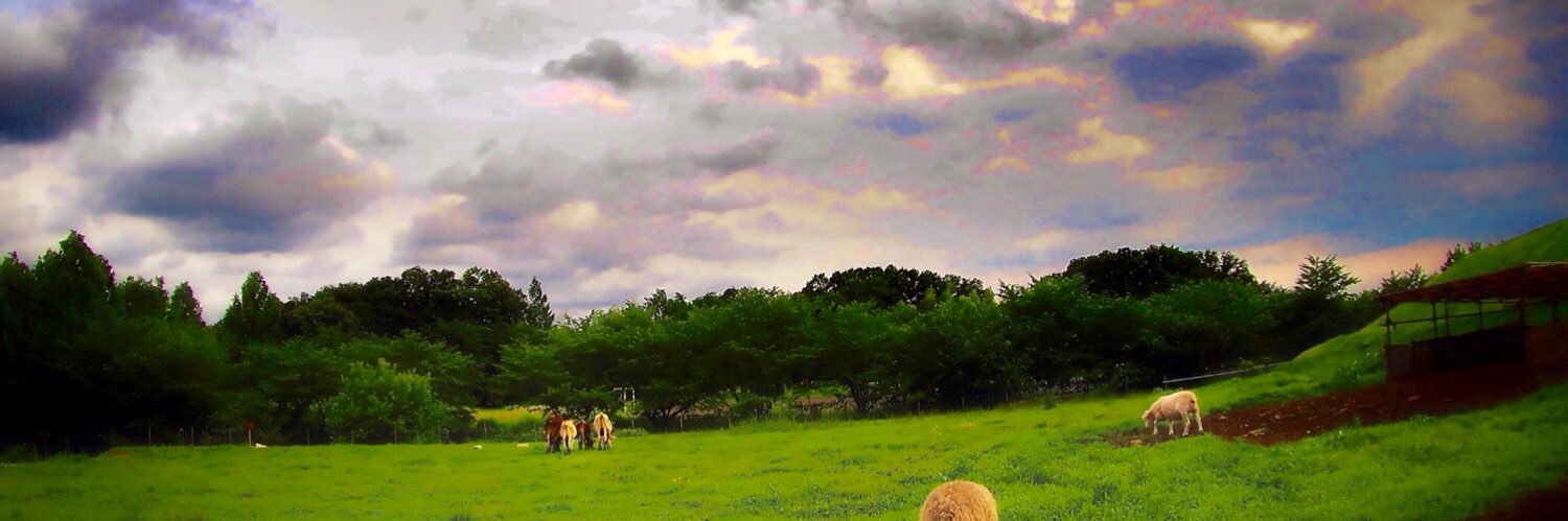 MicCo_La's profile banner image
