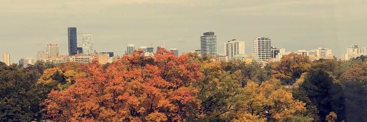 RyanRobbins732's profile banner image