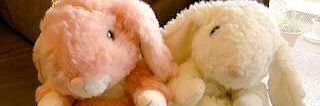 fuuuko__kiku's profile banner image