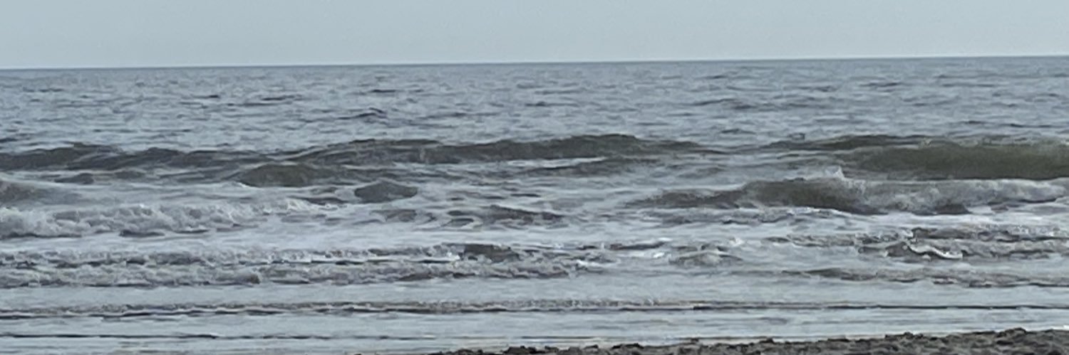 loridchapman's profile banner image