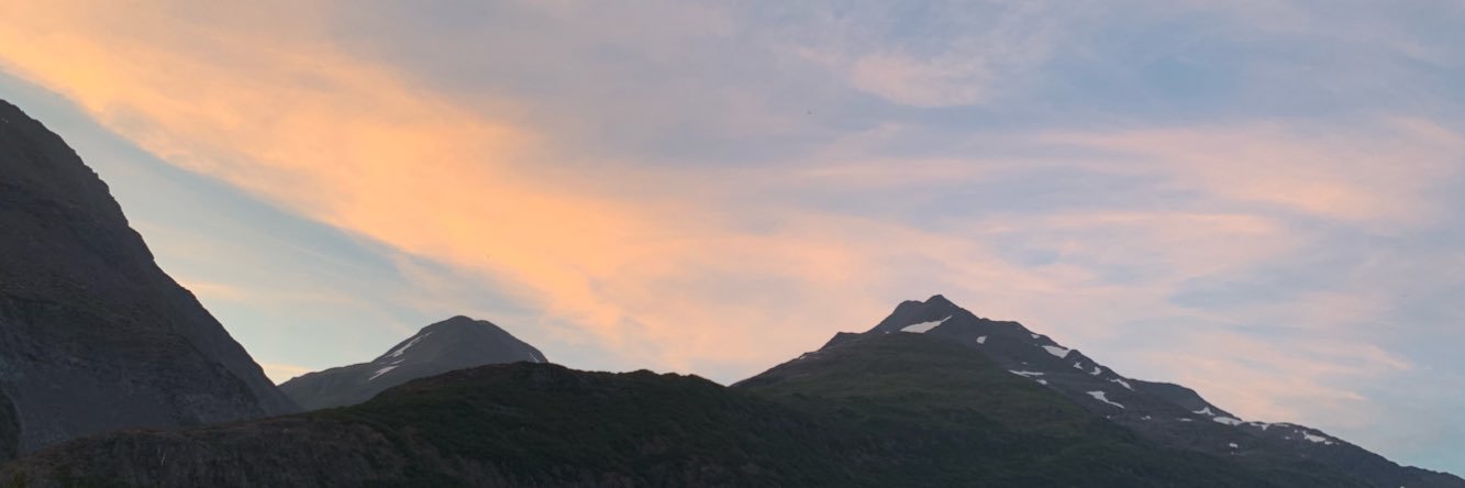 therealceleste_'s profile banner image