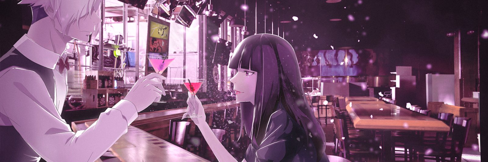 Reinca banner