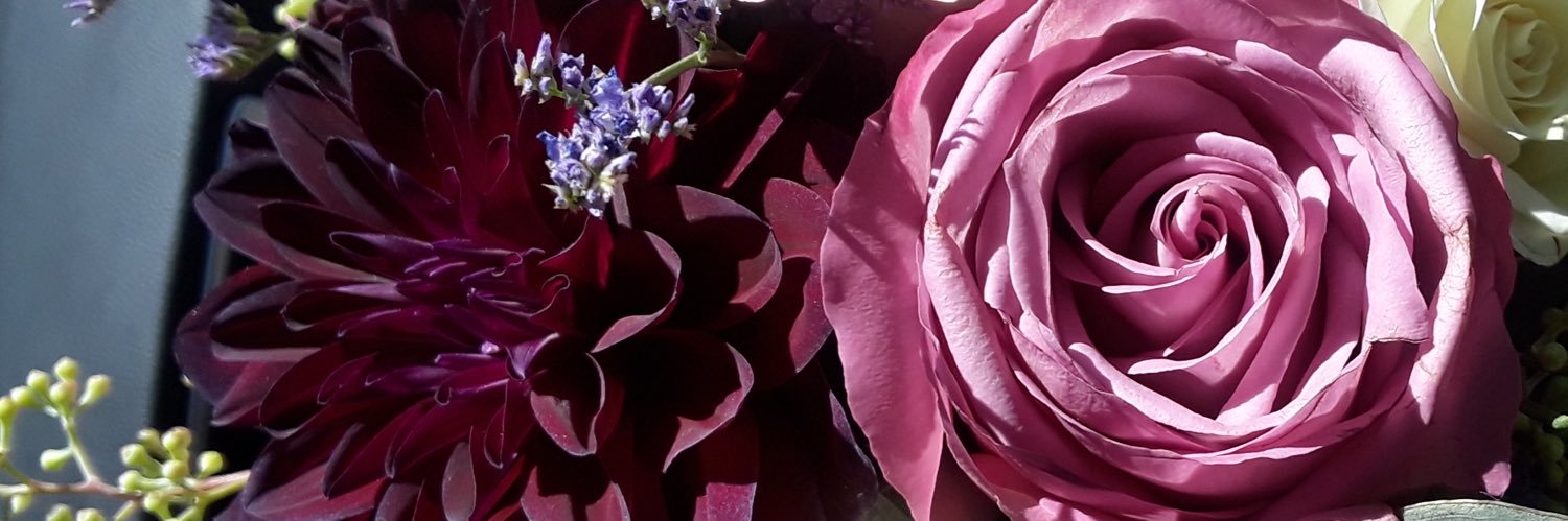 ClauVGro's profile banner image