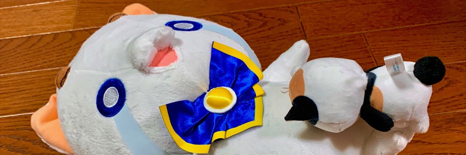 sinnamon banner