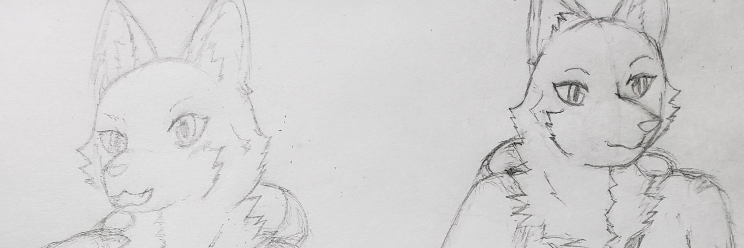k9615ss's profile banner image
