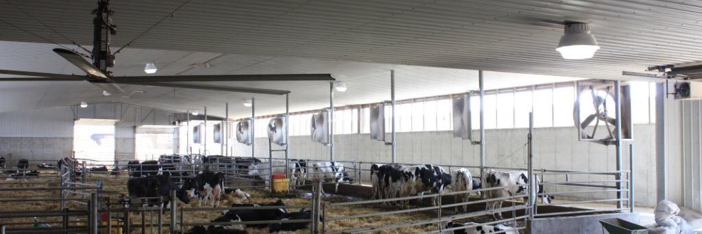 gert schrijver banner