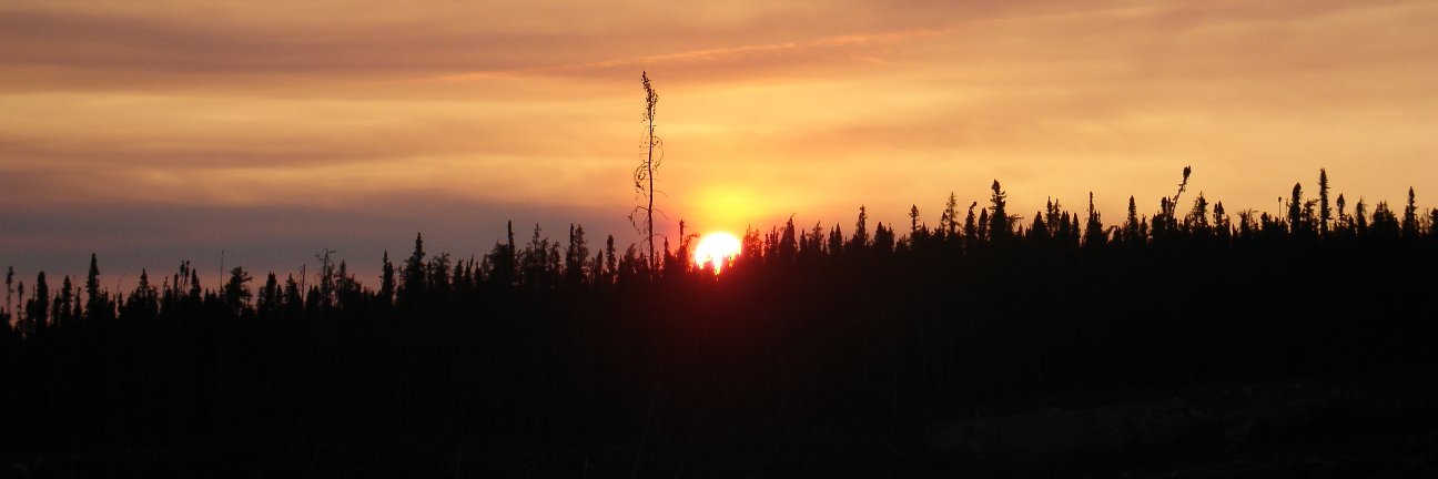 Junior Tremblay banner