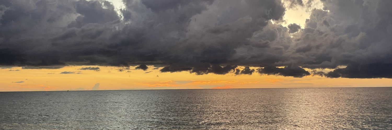 sophialeblancc's profile banner image